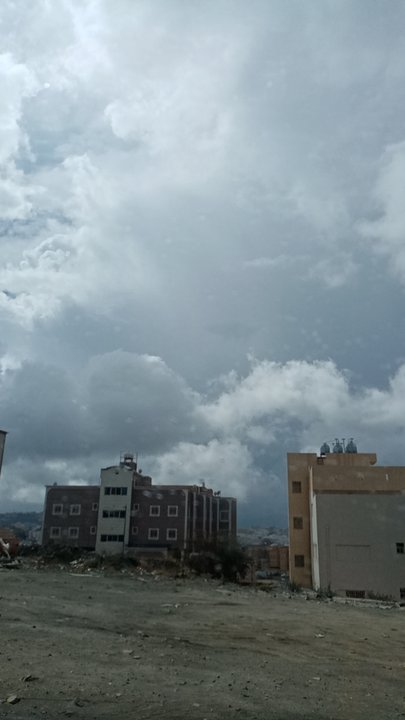 مشاركاتي في أنت الراصد