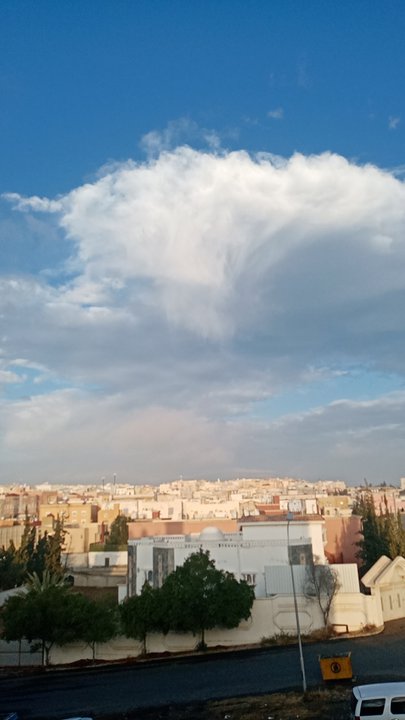 مشاركاتي في أنت الراصد