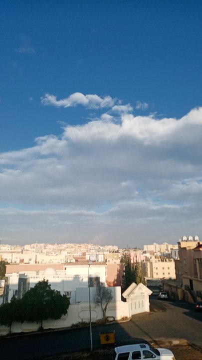 مشاركاتي في أنت الراصد