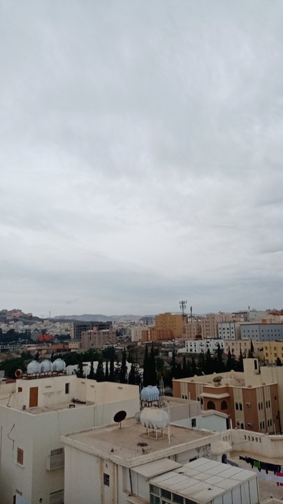 مشاركاتي في أنت الراصد