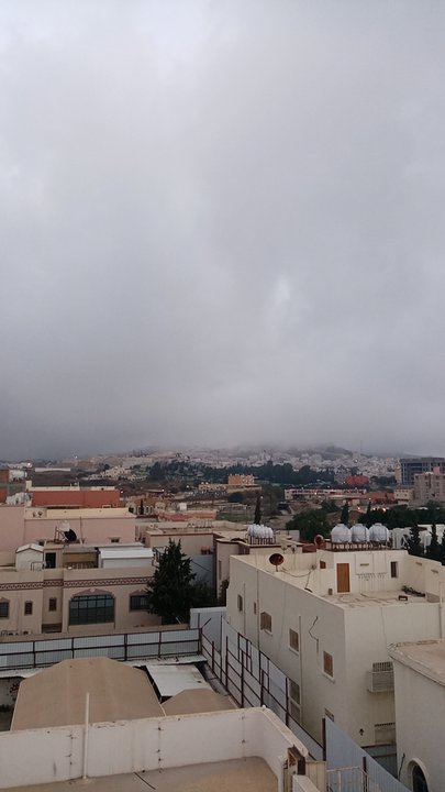 مشاركاتي في أنت الراصد