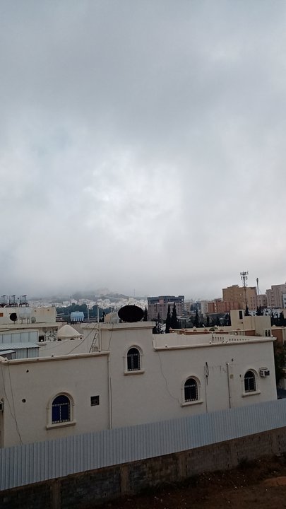 مشاركاتي في أنت الراصد