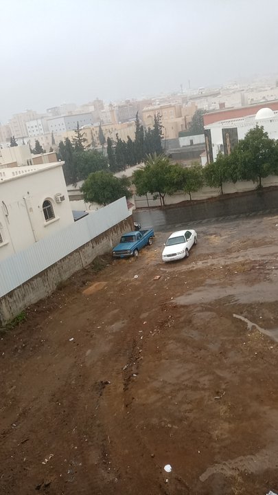 مشاركاتي في أنت الراصد