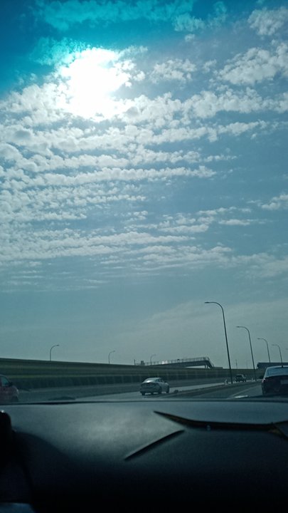 مشاركاتي في أنت الراصد