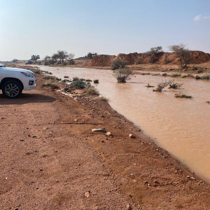 مشاركاتي في أنت الراصد