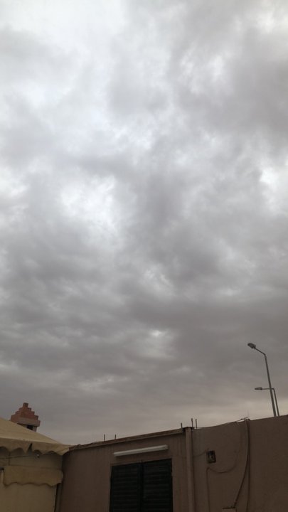 مشاركاتي في أنت الراصد