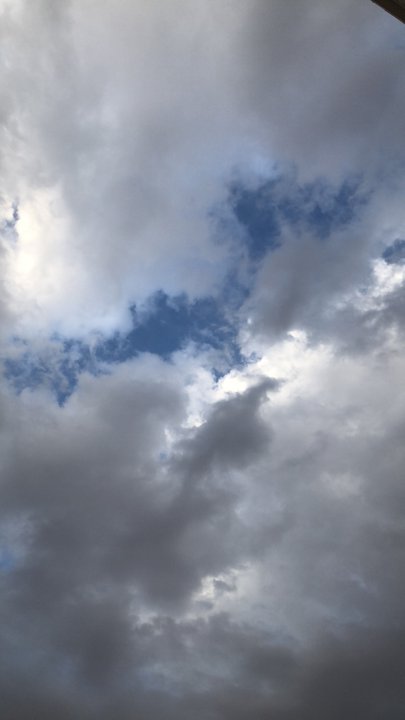 مشاركاتي في أنت الراصد