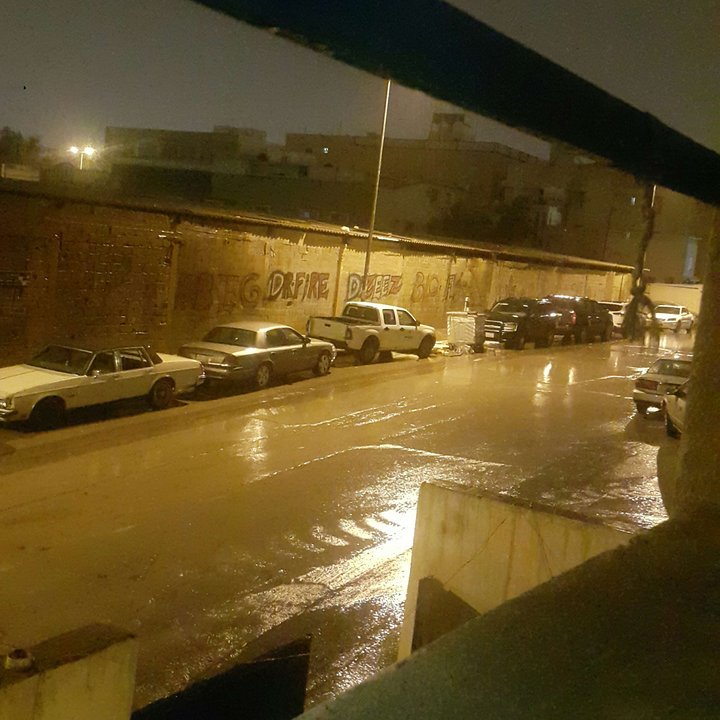 مشاركاتي في أنت الراصد