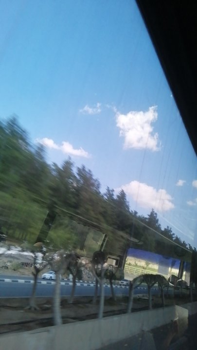 مشاركاتي في أنت الراصد