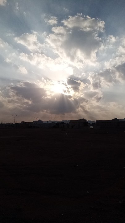 مشاركاتي في أنت الراصد