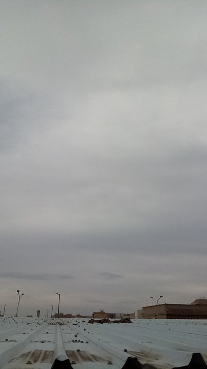 مشاركاتي في أنت الراصد