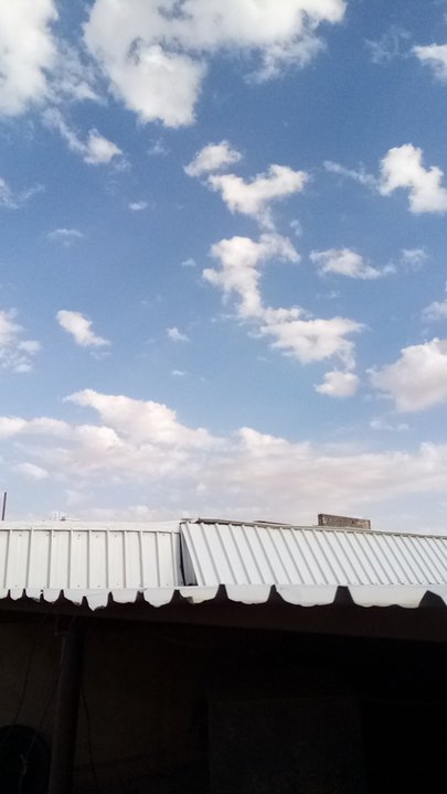 مشاركاتي في أنت الراصد