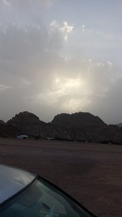 مشاركاتي في أنت الراصد