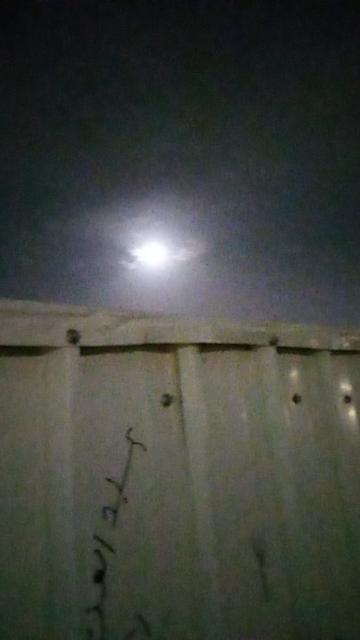 مشاركاتي في أنت الراصد