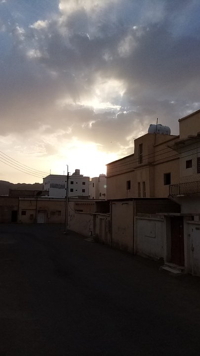 مشاركاتي في أنت الراصد