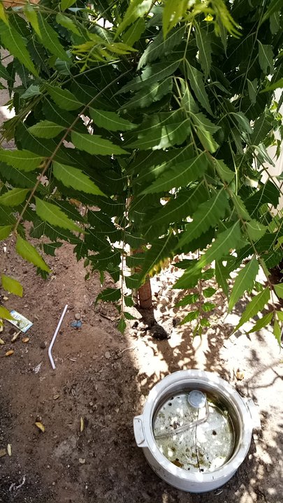 مشاركاتي في أنت الراصد