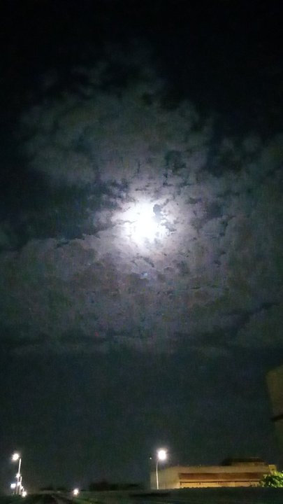 مشاركاتي في أنت الراصد