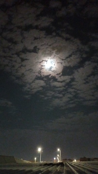 مشاركاتي في أنت الراصد