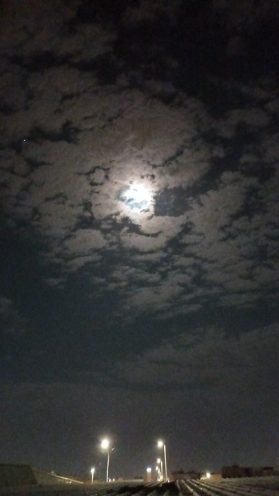 مشاركاتي في أنت الراصد