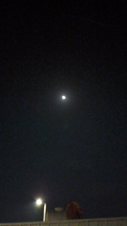 مشاركاتي في أنت الراصد