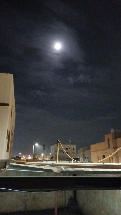 مشاركاتي في أنت الراصد