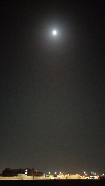 مشاركاتي في أنت الراصد