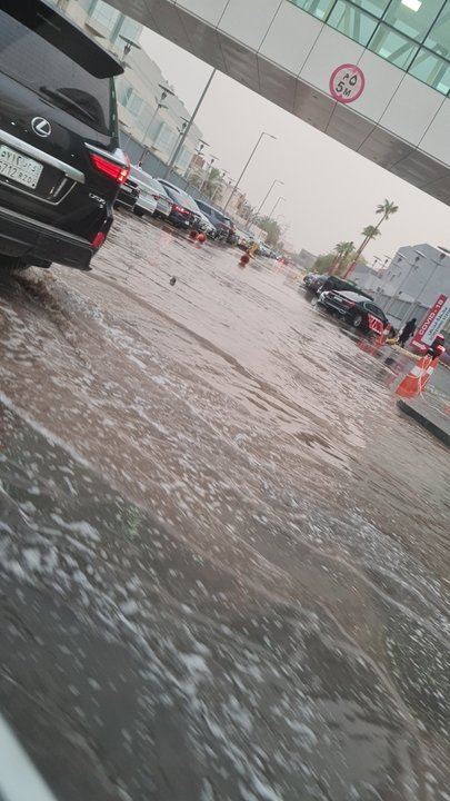 مشاركاتي في أنت الراصد