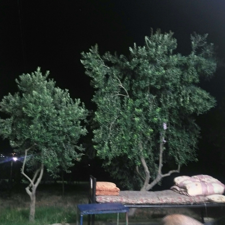 My Crowdsourcing Posts