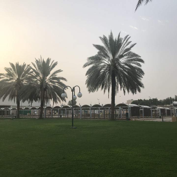 مشاركاتي في أنت الراصد