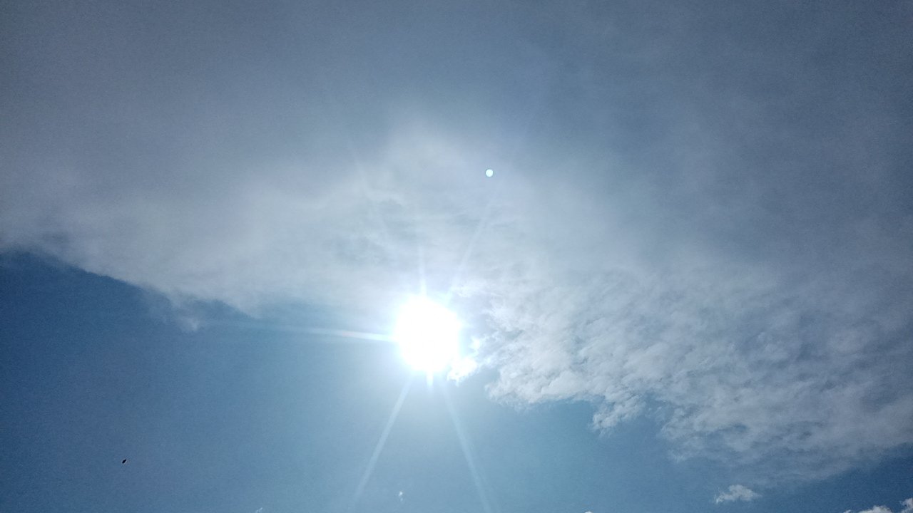 مشاركاتي في أنت الراصد