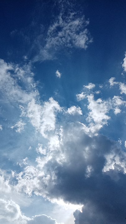 مشاركاتي في أنت الراصد