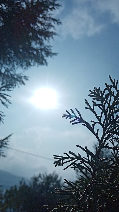 مشاركاتي في أنت الراصد