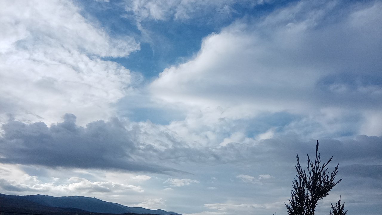 مشاركاتي في أنت الراصد