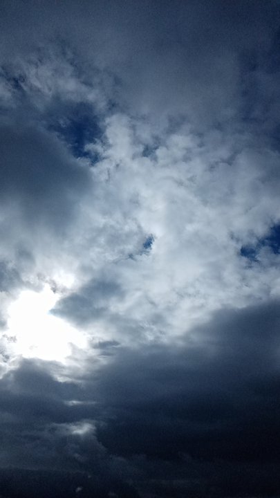 مشاركاتي في أنت الراصد