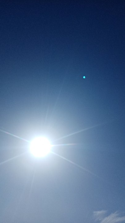 مشاركاتي في أنت الراصد