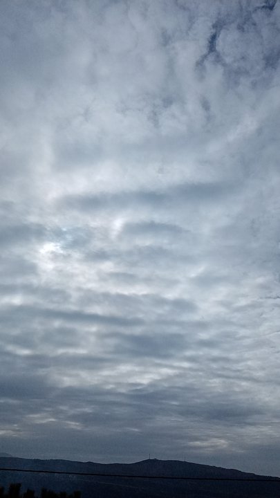 مشاركاتي في أنت الراصد