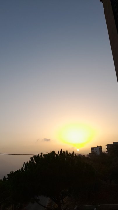 مشاركاتي في أنت الراصد