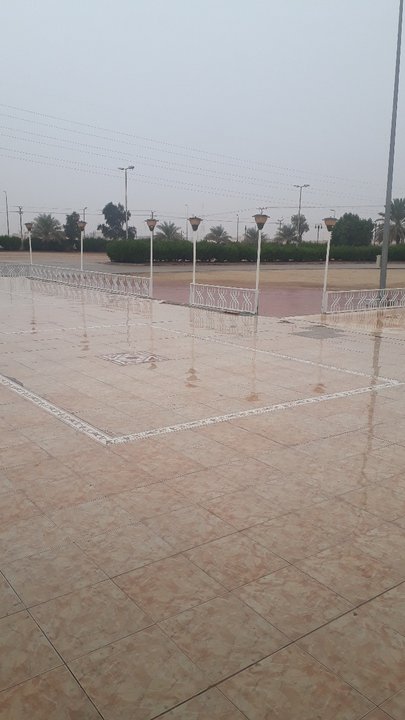 مشاركاتي في أنت الراصد