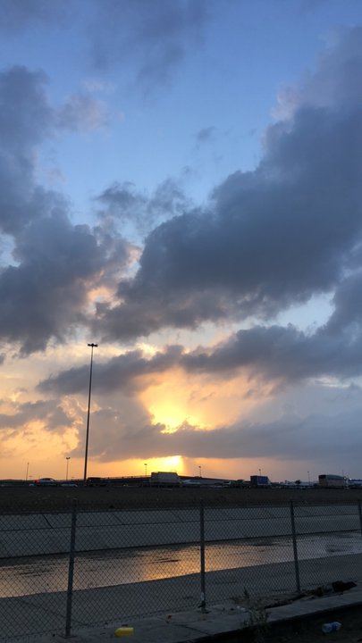 مشاركاتي في أنت الراصد