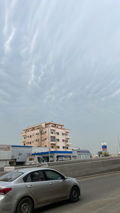 مشاركاتي في أنت الراصد