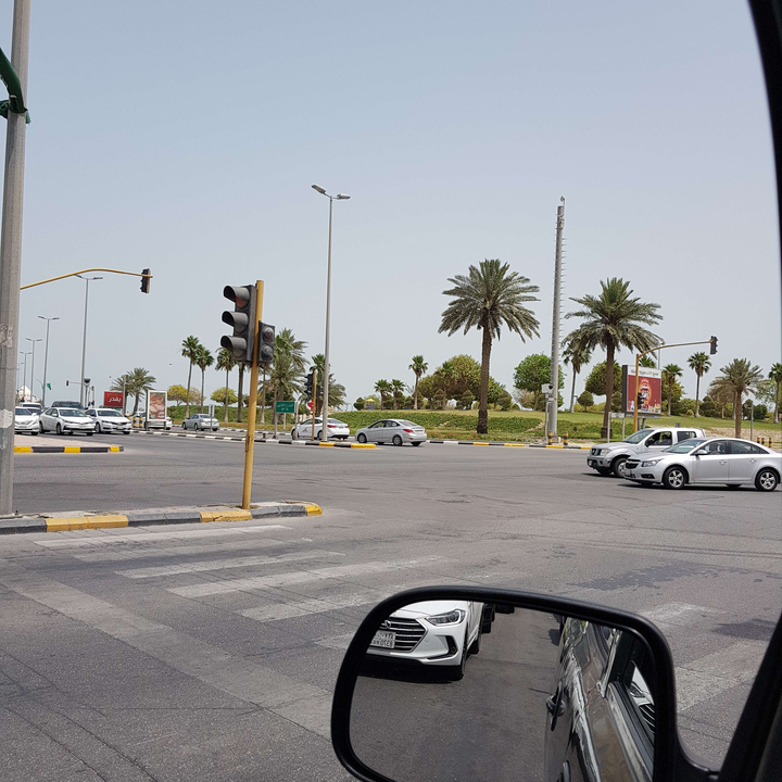 مشاركاتي في أنت الراصد