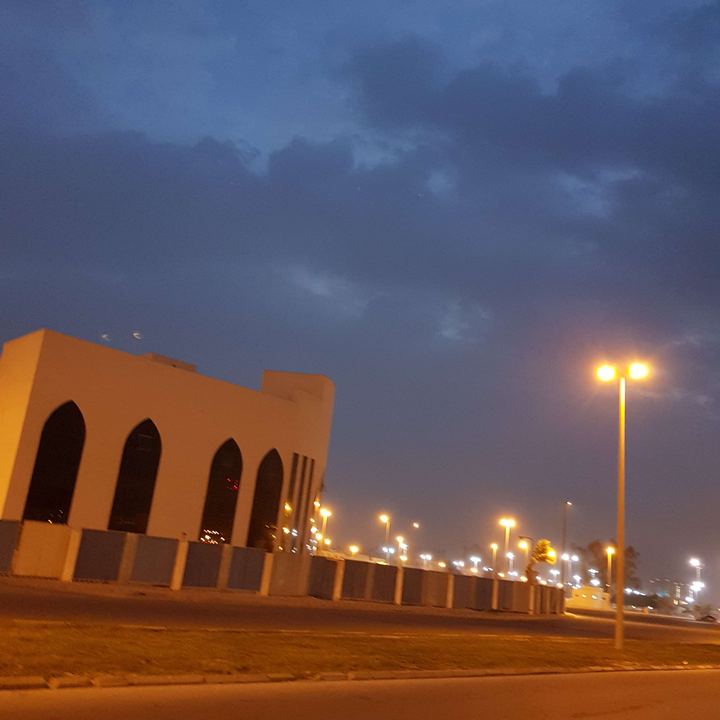 مشاركاتي في أنت الراصد