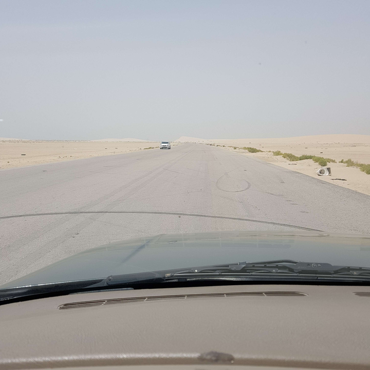 مشاركاتي في أنت الراصد