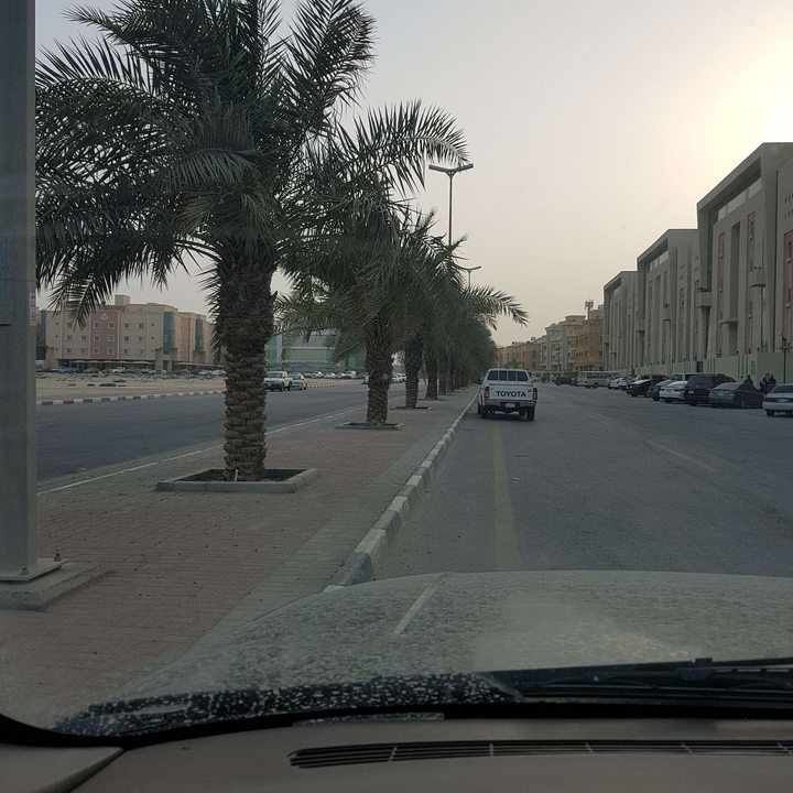 مشاركاتي في أنت الراصد