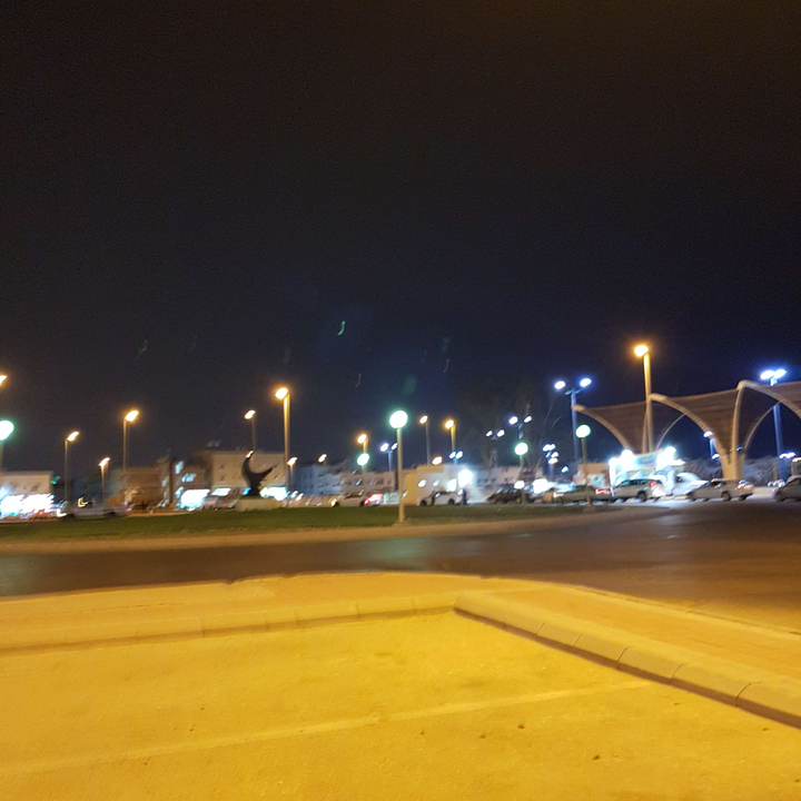 مشاركاتي في أنت الراصد