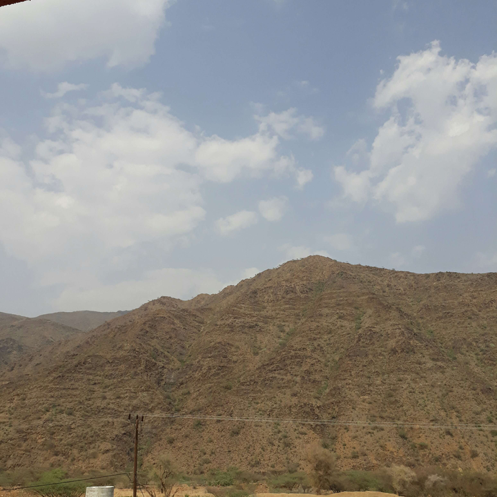 مشاركاتي في أنت الراصد