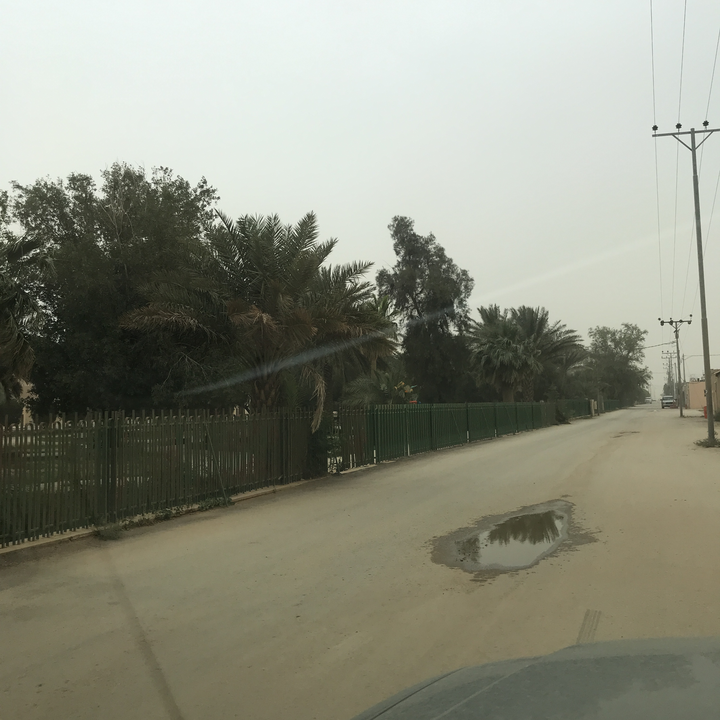 مشاركاتي في أنت الراصد