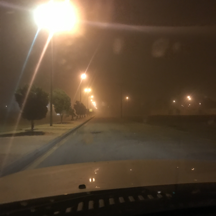 مشاركاتي في أنت الراصد