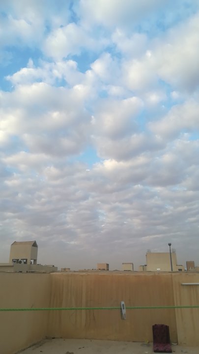 مشاركاتي في أنت الراصد