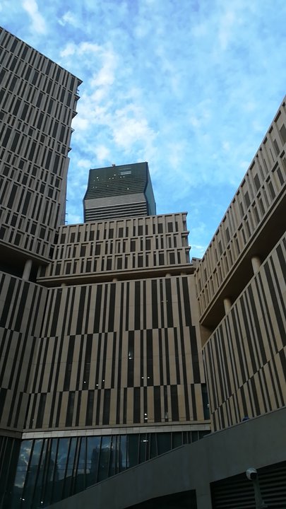 مشاركاتي في أنت الراصد